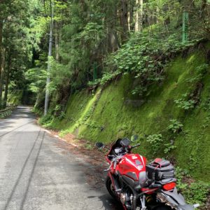 R140南側ルートの和的風景with CBR650R