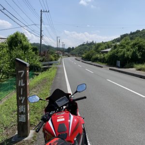 のびやかに続くフルーツ街道＠秩父with CBR650R②