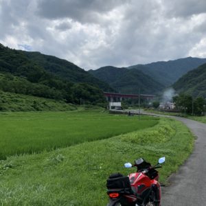 「ひのきそば処」近くの鮮やかな緑の田んぼにてwith CBR650R
