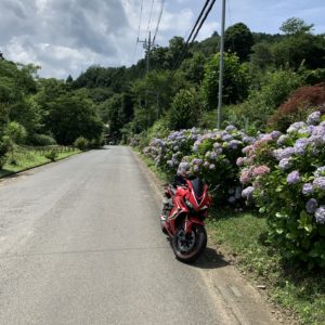 あじさい街道のあじさいwith CBR650R