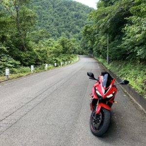 矢木沢ダムに向かう夏の緑が眩しい山間ロードにて③