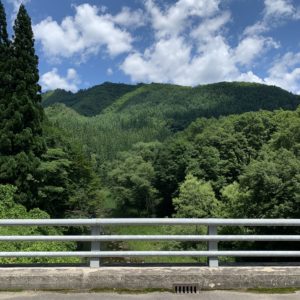 矢木沢ダムに向かう夏の緑が眩しい山間ロードにて
