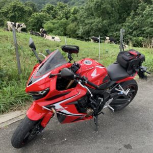 秩父高原牧場の牛たちとCBR650R