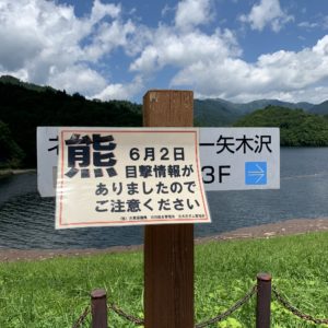 矢木沢ダムにて気になる情報・・・