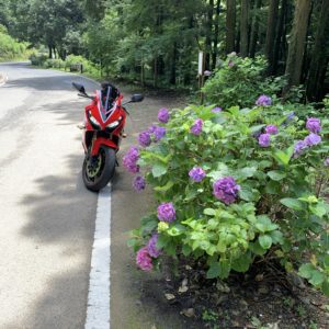 あじさい街道のあじさいの傍にてwith CBR650R