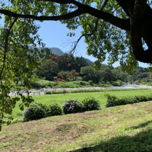 道の駅みなかみ水紀行館脇の利根川の風景を眺める