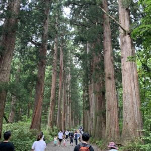 戸隠神社奥社参拝コース⑥「奥社参道杉並木」