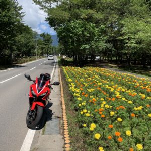 「道の駅 大芝高原」の綺麗な花とCBR650R②