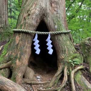 戸隠神社奥社参拝コース⑧「奥社参道杉並木」