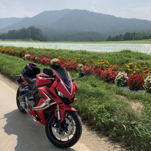 野辺山に向かうr016のお花と共にCBR650R