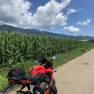 中央アルプスとトウモロコシ畑with CBR650R