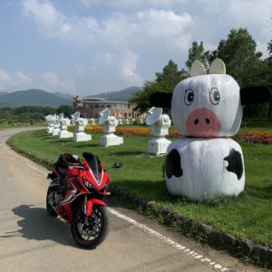 牛の人形とミニ電波望遠鏡が並ぶ風景にてwith CBR650R