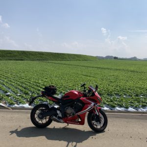 野辺山駅にほど近い高原エリアのレタス畑にて with CBR650R②
