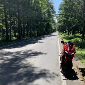 「道の駅 大芝高原」の緑あふれるロードにてwith CBR650R②