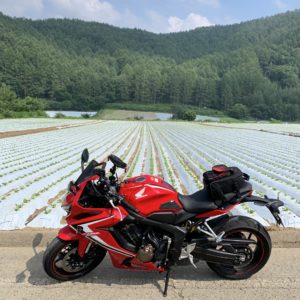 野辺山に向かうr106のビニール畑にてwith CBR650R