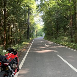 チェリーパークラインの林間コースにて with CBR650R