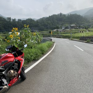 甲州フルーツラインの道端の向日葵with CBR650R