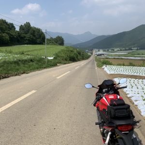 野辺山に向かう北海道的なr106のロード風景にてwith CBR650R