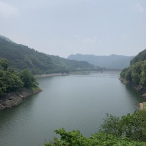 夏の緑に囲まれた能泉湖の風景