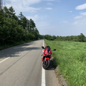 八ヶ岳まきばラインにてwith CBR650R②
