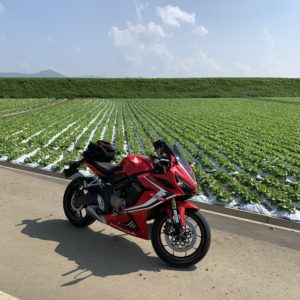 野辺山駅にほど近い高原エリアのレタス畑にて with CBR650R