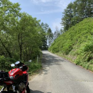 林道川上牧丘線の緑あふれる風景with CBR650R