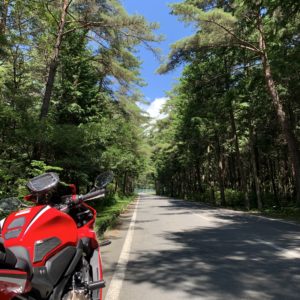 「道の駅 大芝高原」の緑あふれるロードにてwith CBR650R