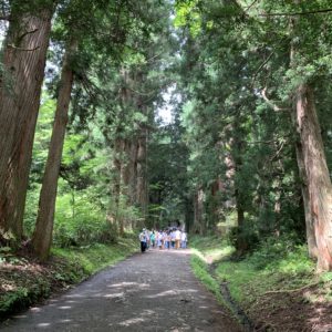 戸隠神社奥社参拝コース③「杉の木並木始まる」
