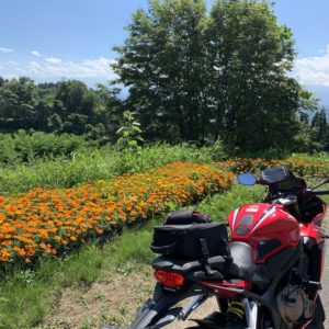 信州・小川アルプスラインの花々が咲くスペースにてwith CBR650R