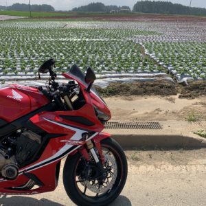 野辺山駅にほど近い高原エリアにて with CBR650R