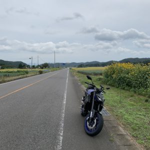 R294の黄色の花々が咲く風景にてwith MT-09②