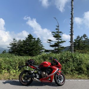 上信スカイラインの印象的な一本木にてwith CBR650R