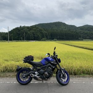 布引高原へ向かう黄金色の1・5車線にてwith MT-09②