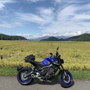 猪苗代湖そばの収穫の始まった黄金色の田園風景にてwith MT-09