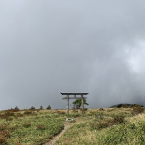 鉢伏山山頂にほど近い場所で鳥居発見