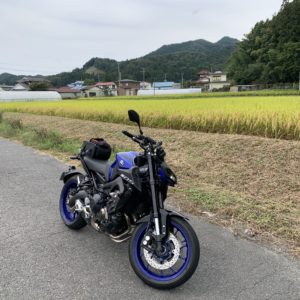 黄金色のR294にてwith MT-09