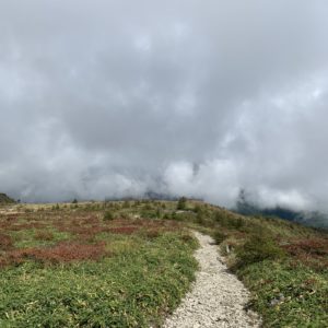 鉢伏山山頂までの登山道