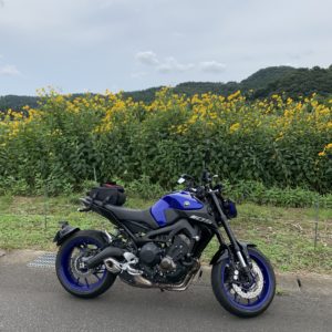 R294の黄色の花々が咲く風景にてwith MT-09