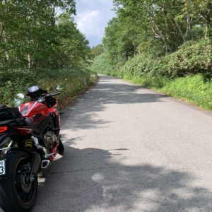 道の両側に緑の木々が立ち並ぶ上信スカイラインwith CBR650R