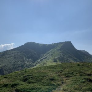 毛無峠側の印象的な緑の山