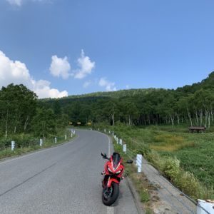 夏の緑あふれる志賀草津道路風景・木戸池キャンプ場過ぎた辺りにてwith CBR650R②