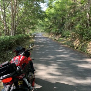 毛無峠に通ずるr112にてwith CBR650R