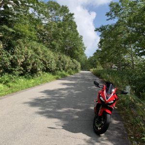 道の両側に緑の木々が立ち並ぶ上信スカイラインwith CBR650R②
