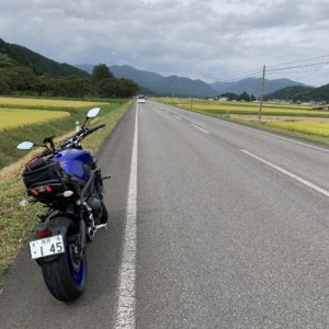 のびやかで黄金色のR294にてwith MT-09