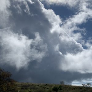 高ボッチ高原で待望の陽光が差し込むシーン