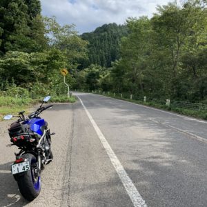 猪苗代湖南エリアのR294の山間部風景with MT09