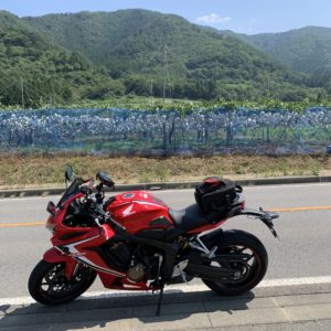北信濃くだもの街道の風景と共にwith CBR650R