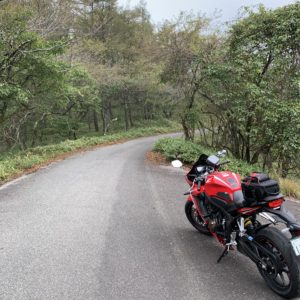 鉢伏高原スカイラインの林間部風景with CBR650R