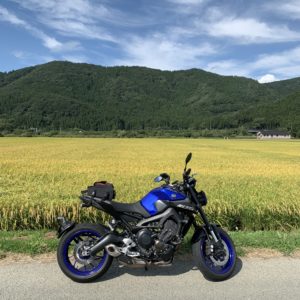 猪苗代湖東エリア内陸の黄金色風景with MT-09