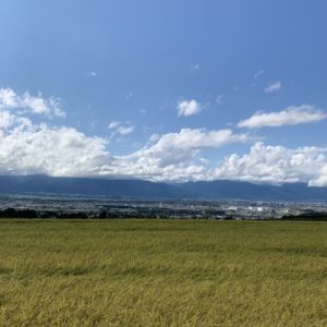 アルプス展望しののめのみちと新米風景にてwith CBR650R